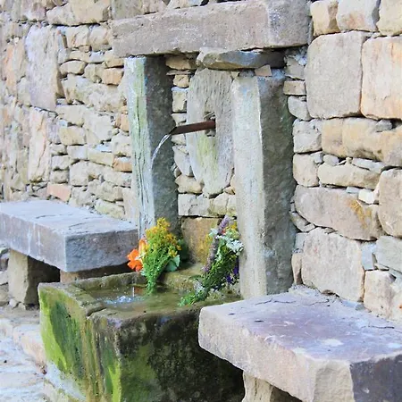 Sokay * Tryavna